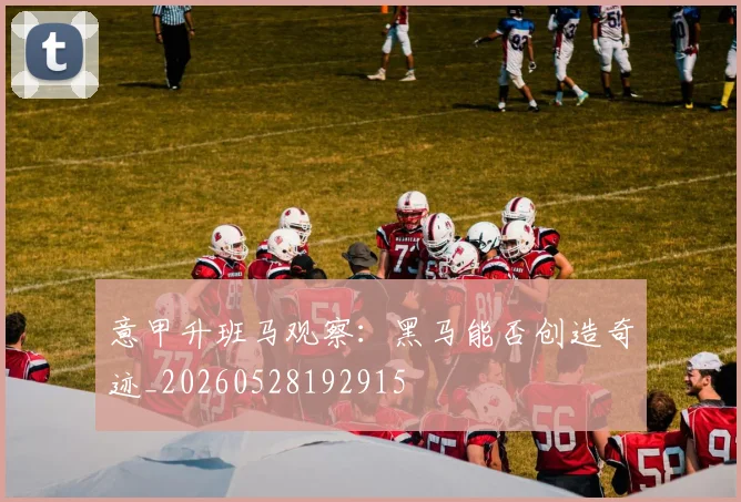 意甲升班马观察：黑马能否创造奇迹_20260528192915