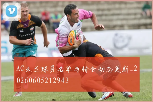 AC米兰球员名单与转会动态更新_20260605212943